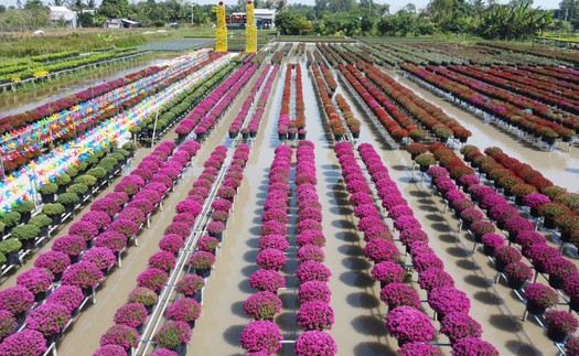 Vì một miền quê đáng sống: Thăm làng hoa lớn nhất miền Tây