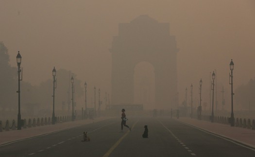 Ô nhiễm không khí gây hơn 200.000 ca bệnh hô hấp trong 3 năm ở thủ đô Ấn Độ