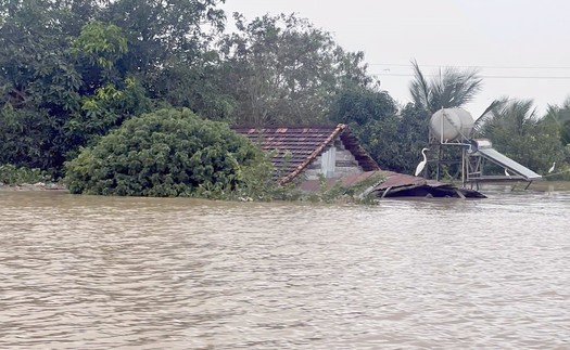 Lâm Đồng mưa nặng hạt kéo dài, nhiều khu vực bị ngập trở lại