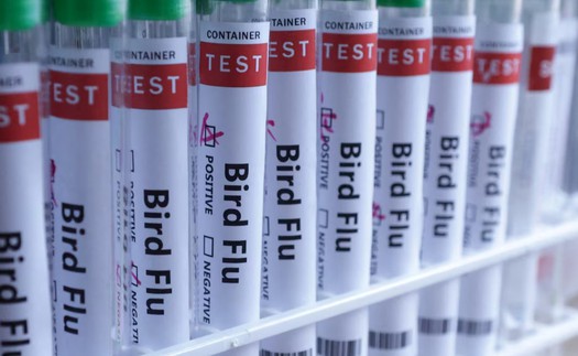 Nga cảnh báo dịch cúm A tiếp tục gia tăng