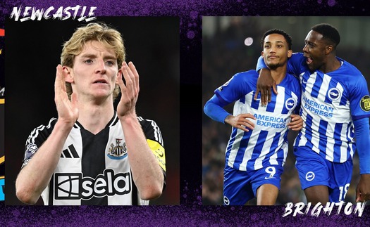 Nhận định, soi tỷ lệ Newcastle vs Brighton 20h45 hôm nay 2/3, FA Cup vòng 5