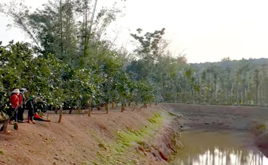 Hai học sinh đuối nước, tử vong trong ao chứa nước tưới cà phê 