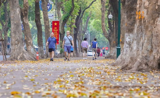 Hình ảnh một Hà Nội đẹp dịu dàng mùa lá rụng