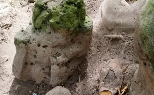 Guatemala phát hiện tàn tích thành phố cổ Maya có niên đại 2.800 năm