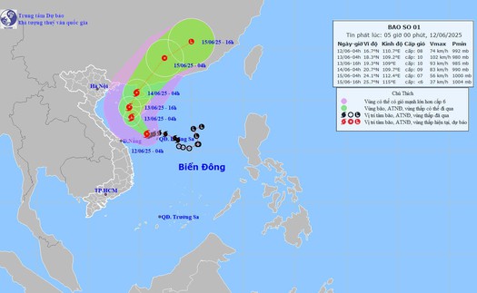 Dự báo thời tiết ngày 12/6: Vùng gần tâm bão gió mạnh cấp 8-9, giật cấp 11