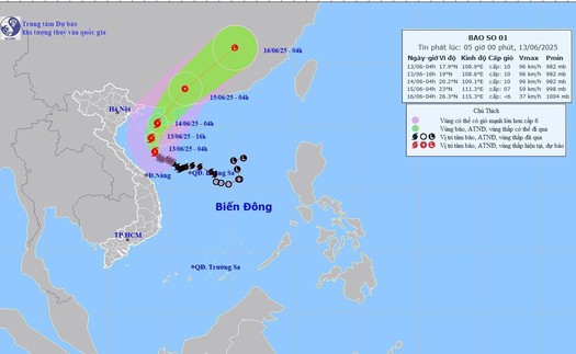 Dự báo thời tiết ngày 13/6: Bão liên tục đổi hướng, vùng gần tâm giật cấp 13