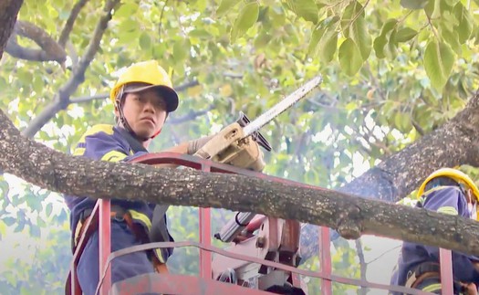 TP HCM lên phương án chống ngập lụt, cây đổ trong mùa mưa bão