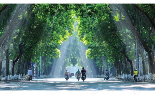 Hà Nội triển khai nhiều phương án đảm bảo vệ sinh môi trường