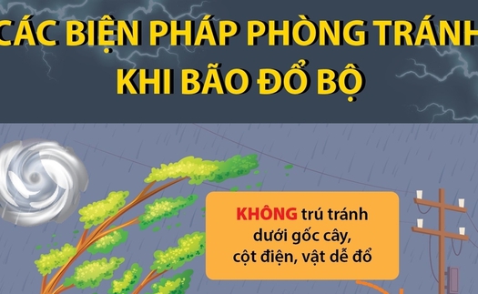 Các biện pháp phòng tránh khi bão đổ bộ