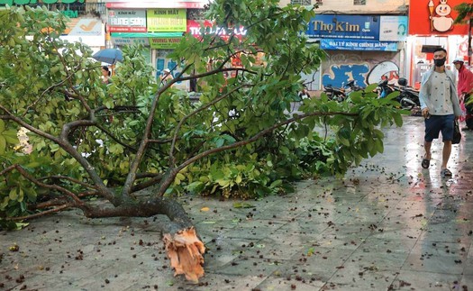 Hình ảnh nhiều cây lớn bị quật đổ trên các tuyến đường phố Hà Nội