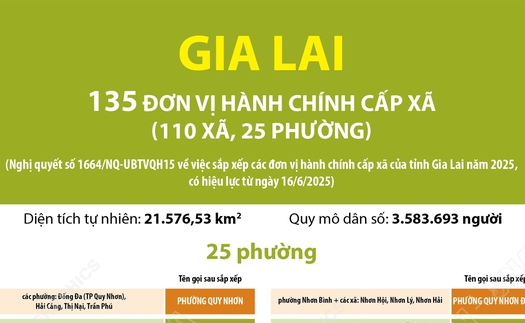 Thông tin chi tiết sắp xếp các đơn vị hành chính cấp xã của tỉnh Gia Lai: 25 phường