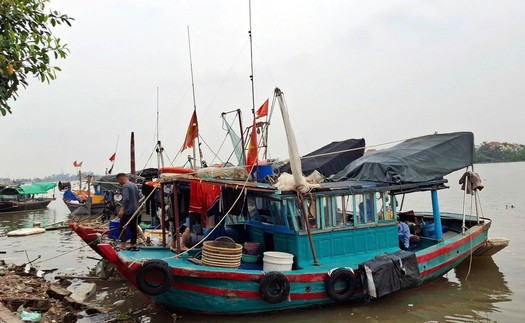 Quảng Ninh kêu gọi tàu thuyền vào nơi tránh trú trước bão số 3