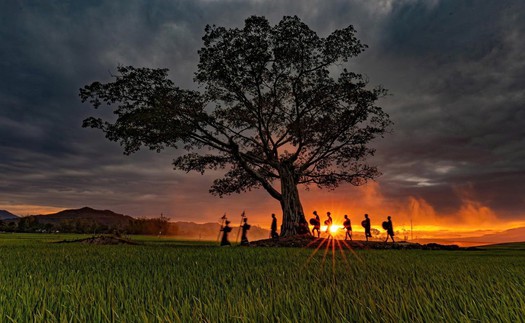 "Ngày hội Giao lưu khu vực Biên giới Tây Nguyên 2025" dự kiến diễn ra vào tháng 12 tới tại TP Buôn Ma Thuột