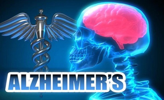 Phát hiện cơ chế giúp não tự làm sạch, mở ra hy vọng chữa Alzheimer