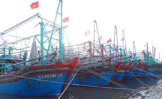 Chỉ đạo của Ban Bí thư về ứng phó với cơn bão số 5 (Kajiki)