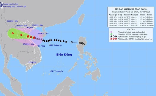 Chi tiết thông tin ứng phó với bão số 5 sắp đổ bộ hôm nay