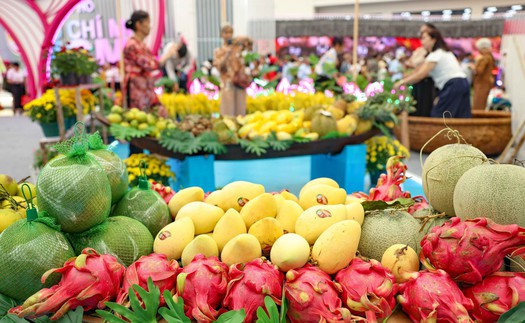 Du lịch phương Nam thu nhỏ qua các gian trưng bày đặc sắc tại Triển lãm thành tựu Đất nước