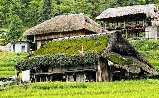 Giữ hồn mái nhà rêu dưới chân Tây Côn Lĩnh (Tuyên Quang)