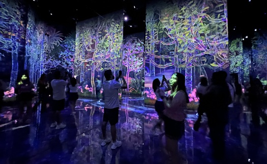 Khám phá “thiên đường ánh sáng” kỳ ảo teamLab Planets ở Tokyo