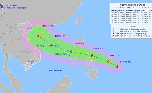 Các tỉnh từ Quảng Ninh đến An Giang chủ động ứng phó với bão BUALOI gần Biển Đông