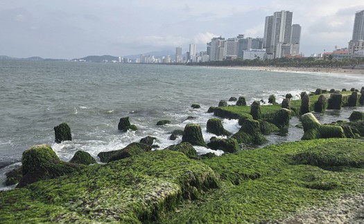 Thu phí tham quan vịnh Nha Trang từ ngày 25/9/2025