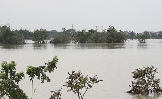 Bão số 10: Bắc Ninh phát lệnh báo động số I trên sông Lục Nam
