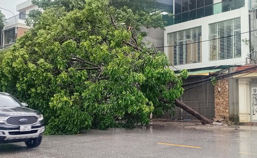 Bão số 10: Thanh Hóa 1 người chết kèm nhiều thiệt hại nặng nề