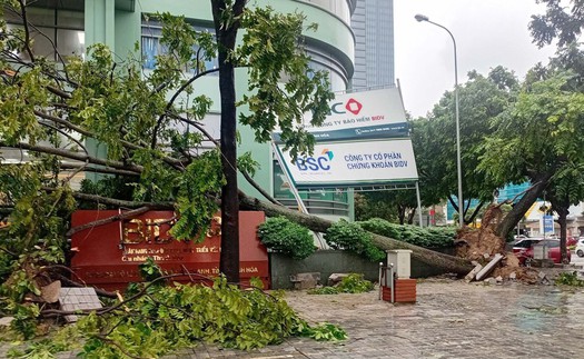 Bão số 10 gây ngập lụt, đỗ gãy nhiều cây xanh tại Thanh Hóa
