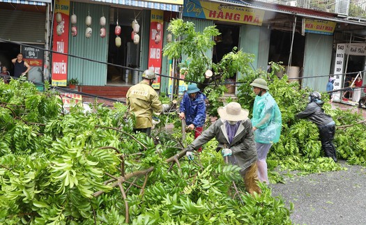 Bão số 10: Ninh Bình thiệt hại nặng nề về người do xoáy lốc gây ra
