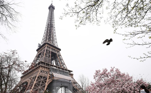 Pháp khắc tên 72 nữ học giả xuất chúng lên tháp Eiffel