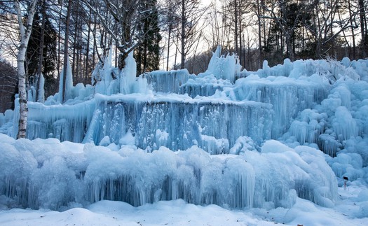 Subzero Forest - Khu rừng băng giá kỳ ảo vùng Hida, Nhật Bản