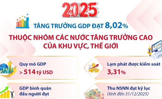 Tăng trưởng GDP đạt 8,02%, Việt Nam thuộc nhóm các nước tăng trưởng cao của thế giới