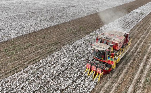 Trung Quốc ra mắt mô hình AI mới cho nông nghiệp