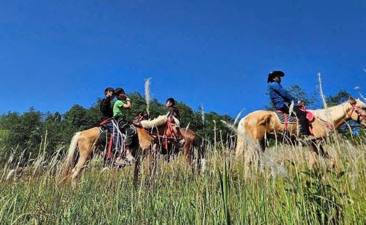 Cưỡi ngựa trải nghiệm Cực Bắc - Sản phẩm du lịch độc đáo