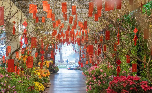 Khu vườn mùa Xuân giữa phố phường Hà Nội