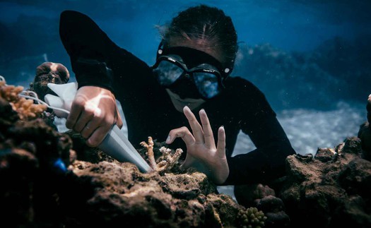 Tái tạo: Xu hướng du lịch mới hướng đến việc khôi phục thiên nhiên