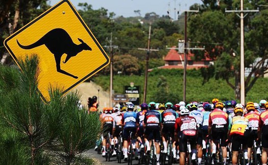 Sự cố hy hữu làng đua xe khi 'khán giả đặc biệt' khiến các tay đua bị nạn