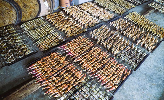 Làng nướng cá biển truyền thống ở Diễn Châu "đỏ lửa" dịp cận Tết