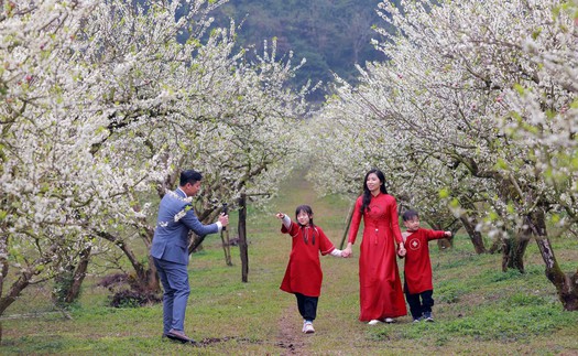 Tết Nguyên đán Bính Ngọ 2026 - tín hiệu tích cực, tạo tăng trưởng du lịch năm 2026