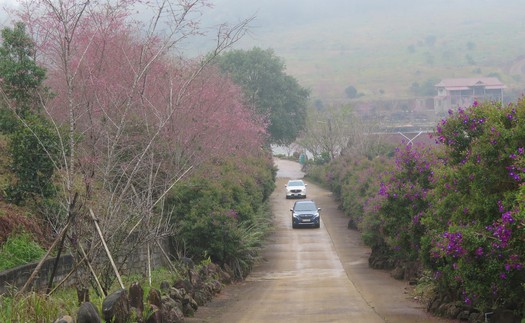 Vì một miền quê đáng sống: Măng Đen giữa đại ngàn Tây Nguyên níu chân lữ khách