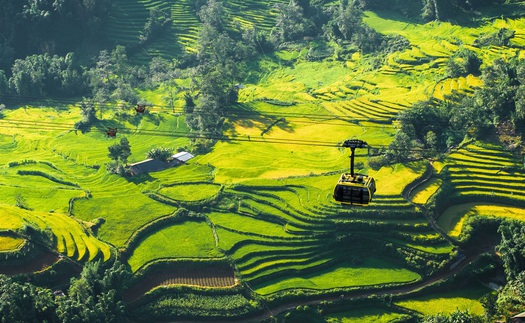 Sa Pa được chọn là điểm đến lý tưởng cho người tuổi Sửu năm 2026 