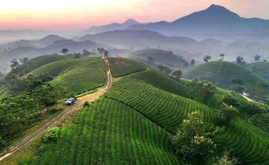 Vì một miền quê đáng sống: Ngút ngàn đồi chè Long Cốc