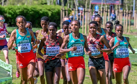 Ứng viên hàng đầu ở giải vô địch việt dã thế giới có thể trắng tay vì lý do bất ngờ