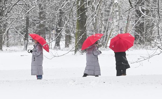 Bão càn quét châu Âu, nhiều nước thiệt hại nghiêm trọng