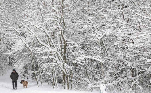 Châu Âu chật vật trong băng tuyết, ít nhất 8 người thiệt mạng