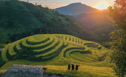 Khám phá vùng cao Pu Nhi qua sắc vàng ruộng bậc thang và sắc màu văn hóa Mông