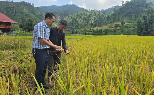 Vì một miền quê đáng sống: "Bản Liền xanh" gọi bước chân du khách