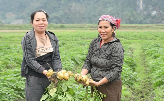  Vùng lũ Làng Chút thay áo mới, đón Xuân sang