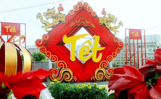 Rực rỡ đường hoa Xuân đón Tết Bính Ngọ 2026