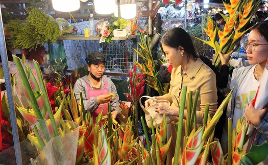 Đi chợ hoa đêm để được 'chạm' vào Tết